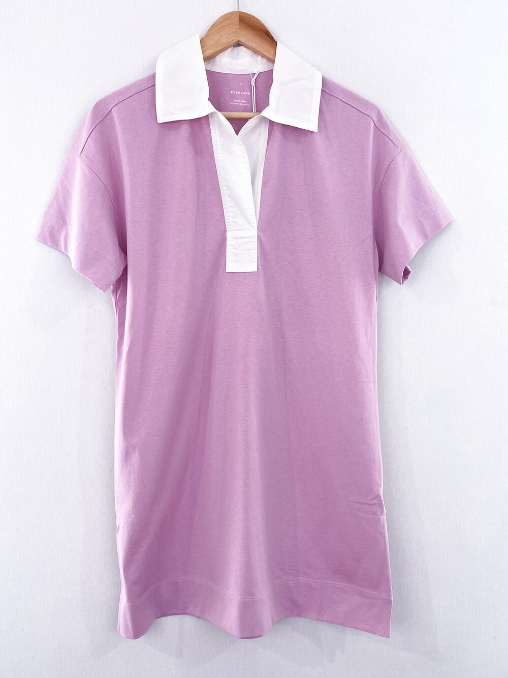 NEW Everlane Pink Collared Shirt Dress siz Small Cotton Preppy Polo Academia